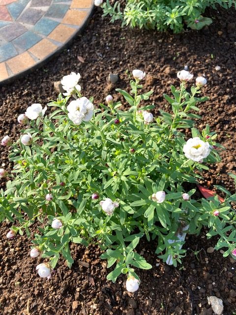 画像に alt 属性が指定されていません。ファイル名: IMG_9059-rotated.jpg